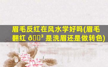 眉毛反红在风水学好吗(眉毛翻红 🌳 是洗眉还是做转色)